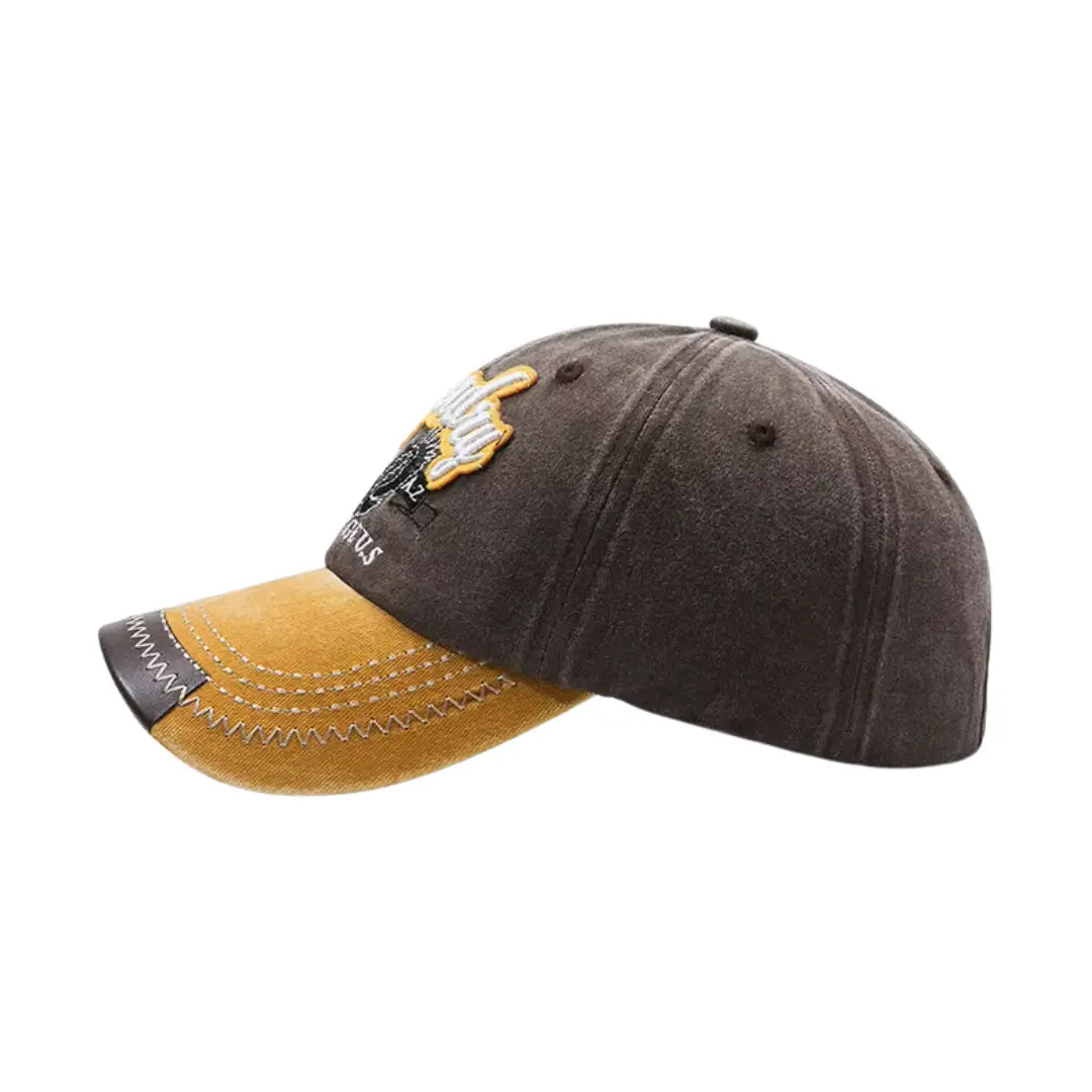 Boné Masculino Aba Curva Superdry