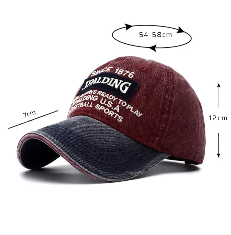 Boné Masculino Aba Curva 1876