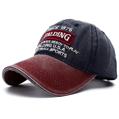 Boné Masculino Aba Curva 1876