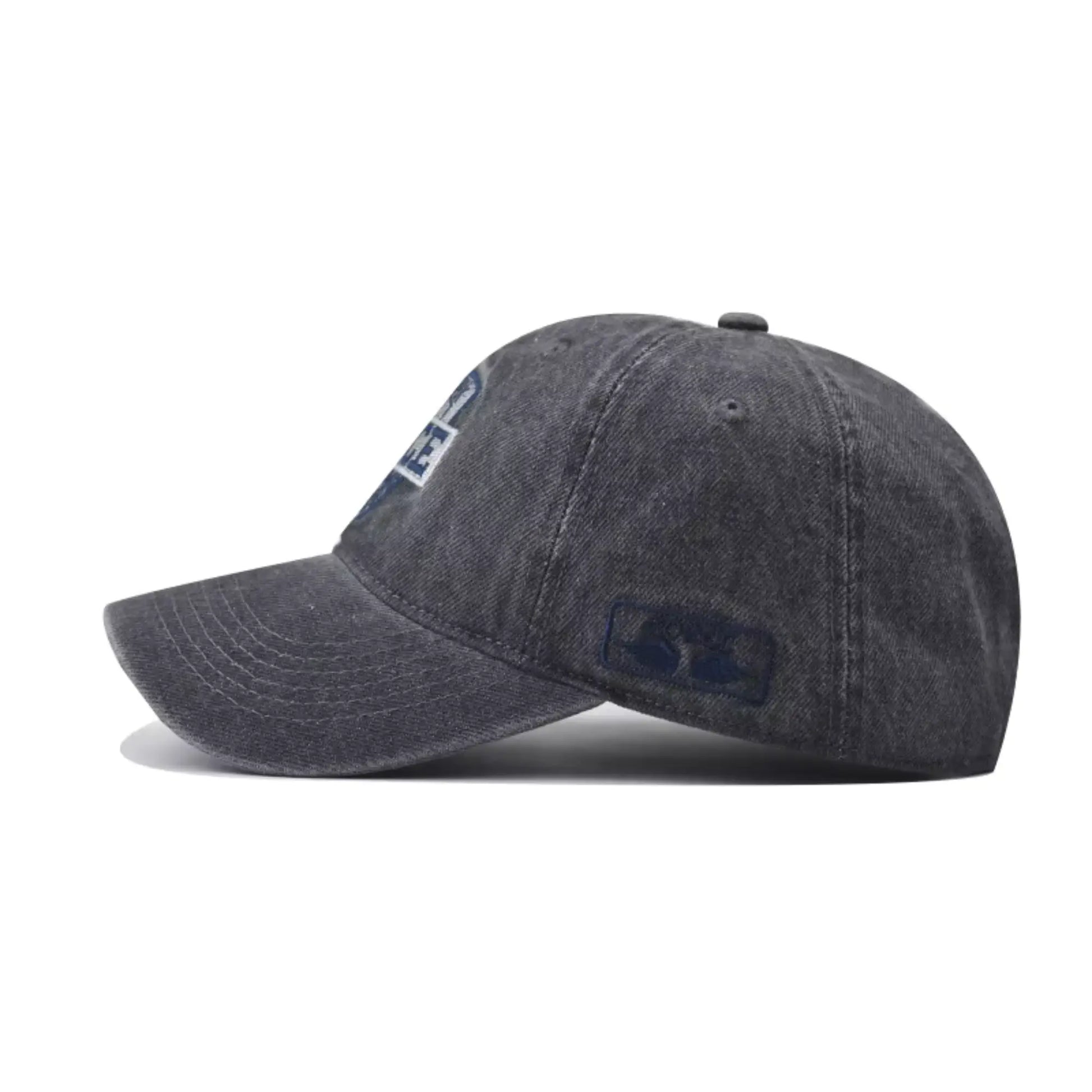 Boné Masculino Aba Curva Force