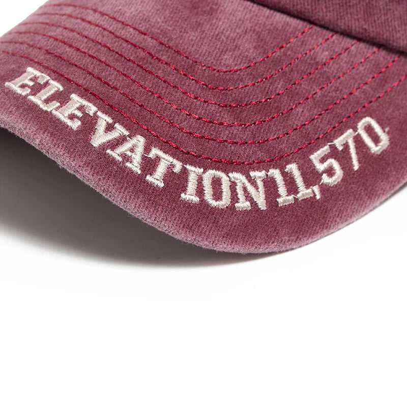 Boné Masculino Aba Curva Vail