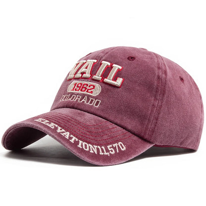 Boné Masculino Aba Curva Vail